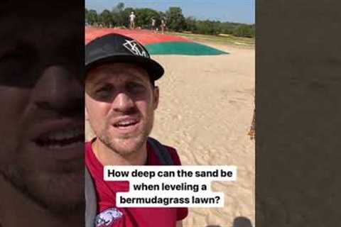 Bermudagrass vs. Sand… Who ya got? ?