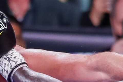 Wilder-Fury Does Not Offer Another Rematch, But a Path to a Unified Title
