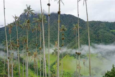 Quindio Travel Guide: The Ultimate Guide to Travel