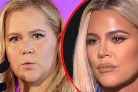 Famous Celebrities Tried to Warn Us About Amy Schumer
