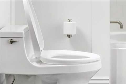 The 2021 Best Heated Toilet Seats