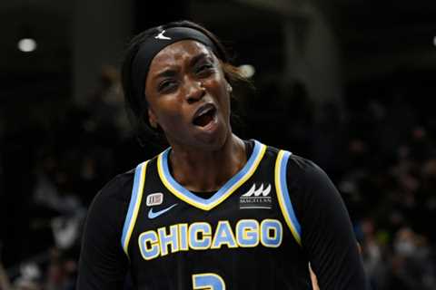 Chicago Gets the Sky Bring Hoops Championship Buzz