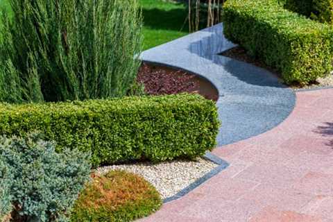 3 Great Reasons To Incorporate Shrubs Into Your Landscape Design