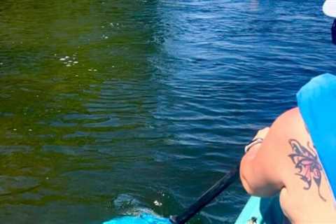 Which type of kayak paddle is best for kayaking?