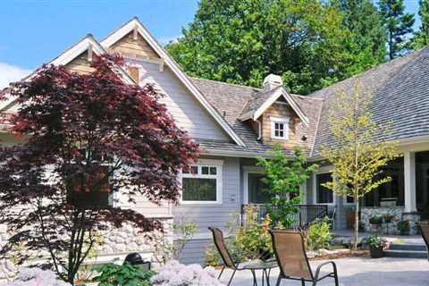 7 Best Shade Trees