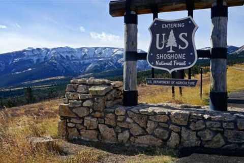 Exploring The Beartooth Highway With Pets