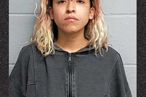 Woman Shoots Roommate Dead For Refusing to Kiss Her in Front of His Girlfriend: Police