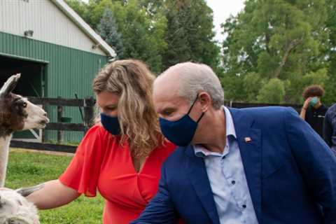 Federal election 2021: The halfway point of the polls