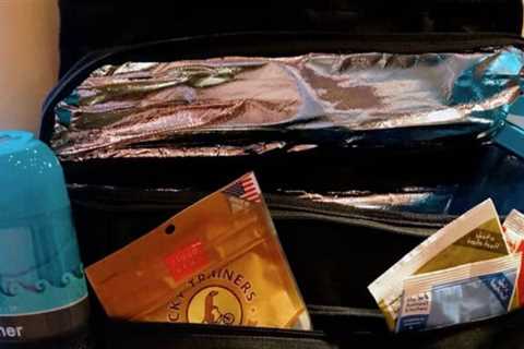Pet Travel Essentials: Never Leave Home Without Them