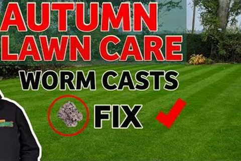 HOW TO GET THE MOST OUT OF YOUR LAWN THIS AUTUMN //Autumn lawn fertilizer // Cutting heights
