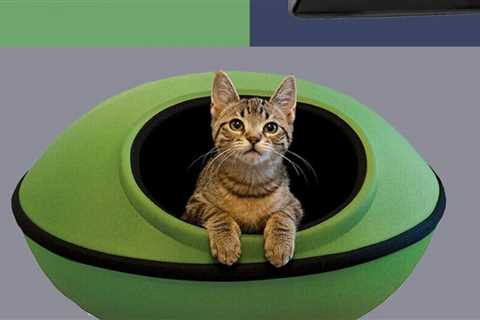 9 Best Heated Cat Beds