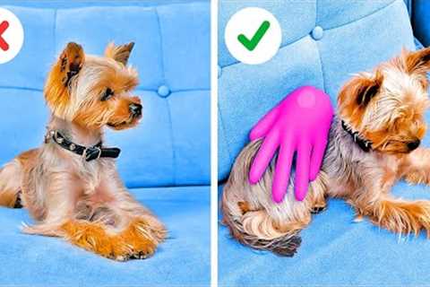 Priceless Hacks And Gadgets For Dog Owners