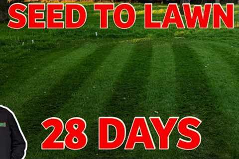 The BEST way to grow grass from seed | TOP 5 ways tested - SURPRISING RESULTS