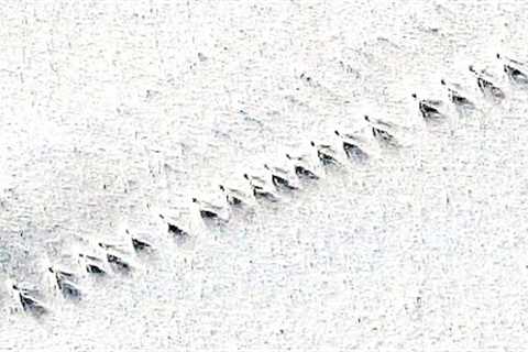 Scientists Monitoring Antarctica Via Space Probes Just Announced That Something Huge Just Vanished