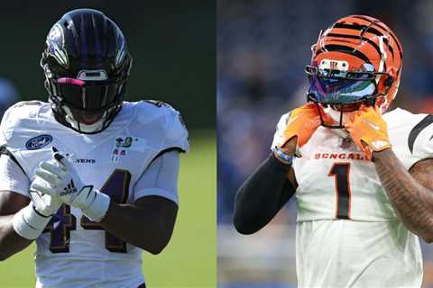 How Many Times Have the Baltimore Ravens and Cincinnati Bengals Defeated Each Other Since Becoming..