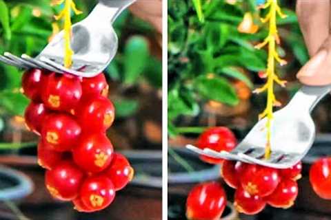 Smart Gardening Hacks That Actually Work