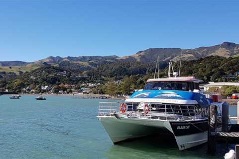 Cruise to Akaroa, New Zealand Top 10 Things To Do In Akaroa
