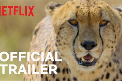Animal | Official Trailer | Netflix