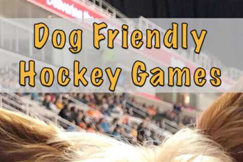 Dog Friendly Hockey Games