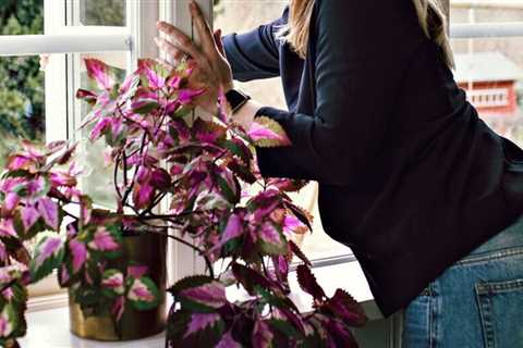 9 Brilliant Ways to Get Rid Of Dust In Your Home That You Have Never Thought of
