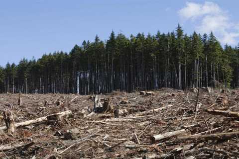 COP26: Will mankind's "last and best chance" to save the Earth's climate be realized?