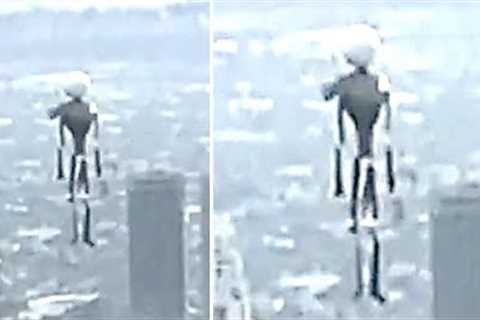 Authorities Have Just Revealed The Truth Behind Those Jetpack Sightings Over LA &amp; Said This