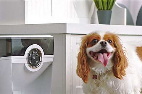 9 Best Dog Food Storage Containers & Scoops