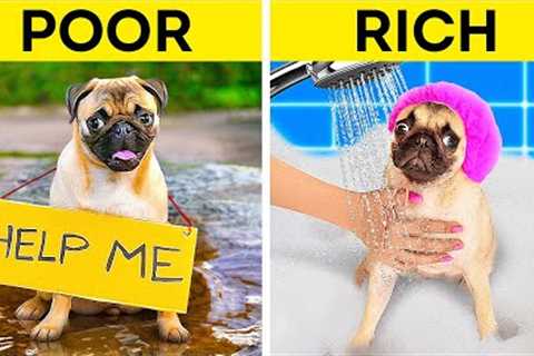 Fantastic Gadgets And Hacks For The Best Pet Owners