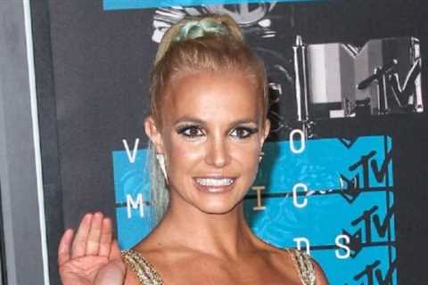 Britney Spears' Sons Jayden and Sean Make a Rare Appearance in Star's New Insta Video