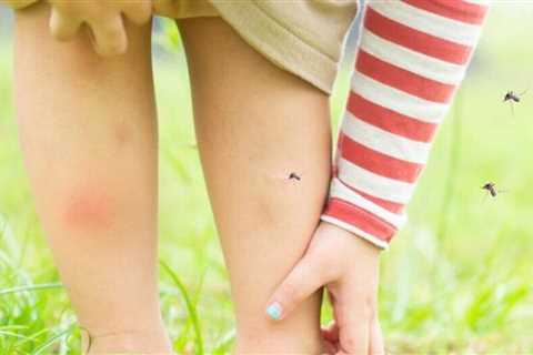 We tried it: Thermacell Mosquito Repellent