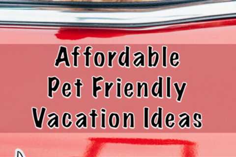 6 Affordable Vacation Ideas With Pets