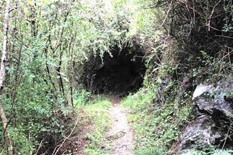 This Woman Accidentally Made An Incredible Discovery After Finding This Deep Within These Woods