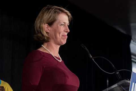 Zephyr Teachout Will Finally Get Her Moment