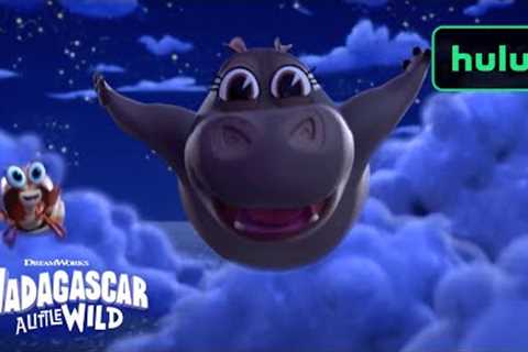 A Moonlight Spectacular | Madagascar: A Little Wild | Hulu