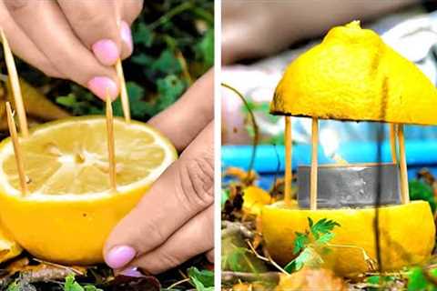 Useful Camping Hacks That Everyone Will Need