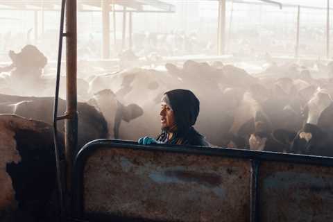 Family Farms may be in crisis because of a crunch at ports