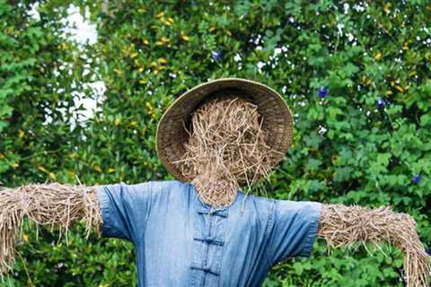 13 Amazing Scarecrows