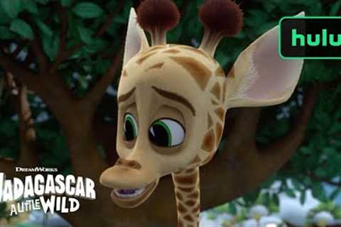 The Good Morning Song | Madagascar: A Little Wild | Hulu