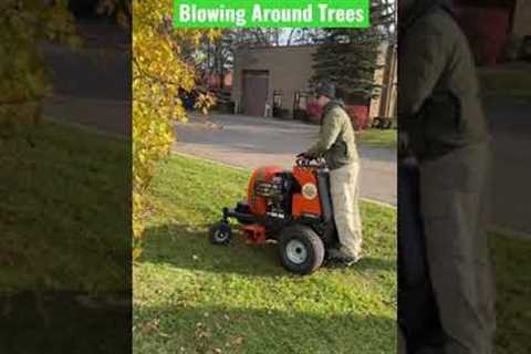 BillyGoat P2000 making short work of leaf cleanups. Enough MPH/CFM to get under trees! #shorts