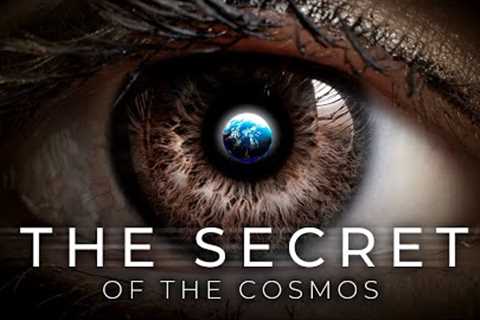 It Will Give You Goosebumps - Neil deGrasse Tyson on The Secret of The Cosmos