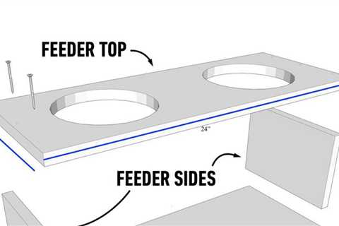 How to build a DIY raised dog feeder