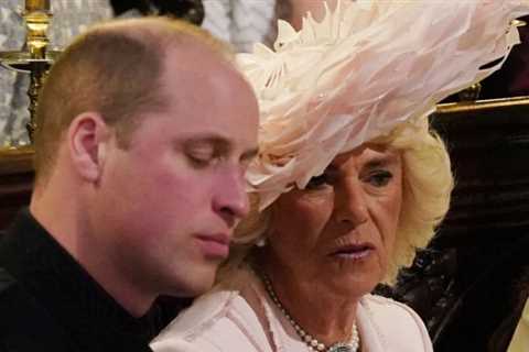 Prince William Fights With Camilla Parker Bowles. 'The Crown’ Disrespects Princess Diana. And All..