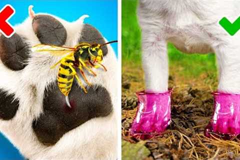 OMG! Smart Pet Owners Should See These Gadgets &amp; Hacks