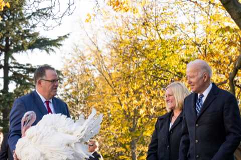 Biden Pardons 2 Turkeys for Thanksgiving Tradition