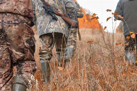 How to get the most out of your next hunting activity