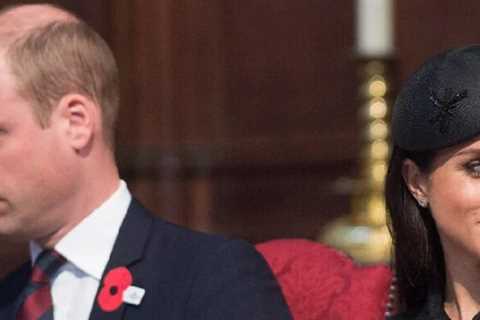 Prince William approves Meghan Markle's Text Message Exposure and Palace Veteran Claims