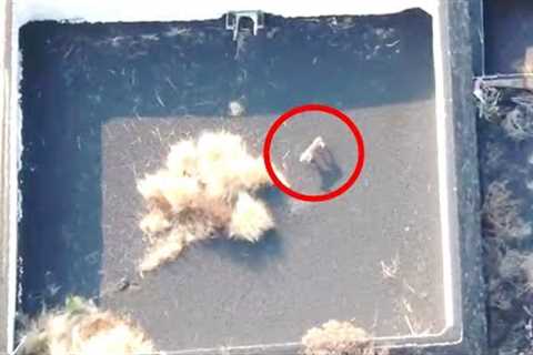 This Drone Accidentally Made A Chilling Discovery After Flying Above The La Palma Volcano Eruption
