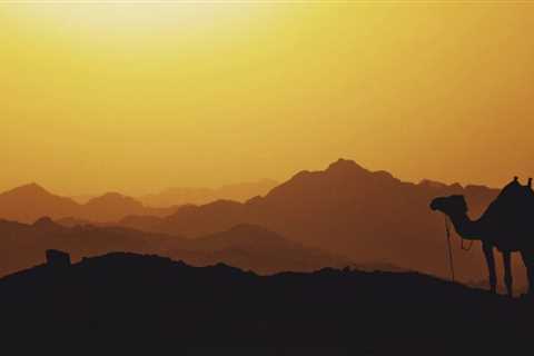 Four Historical Sites to See in the Middle East