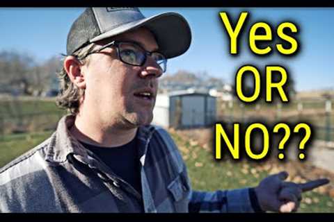 Can You Mow After Frost or Freezing Temps?? // Final Leaf Cleanup