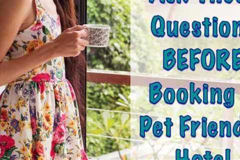 Questions To Ask BEFORE Choosing A Pet Friendly Hotel